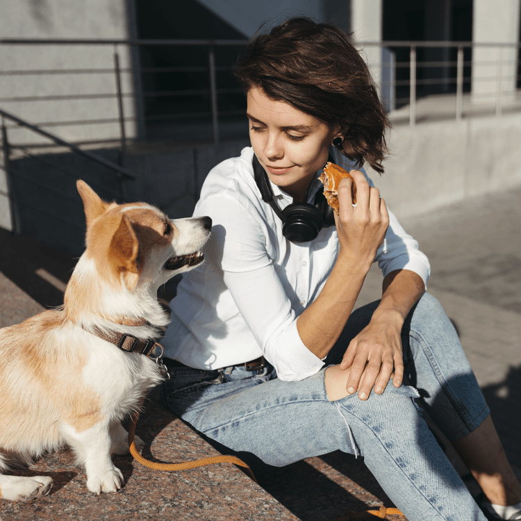 A New Study Debunks the Theory That “Puppy Dog Eyes” Are for Humans’ Benefit