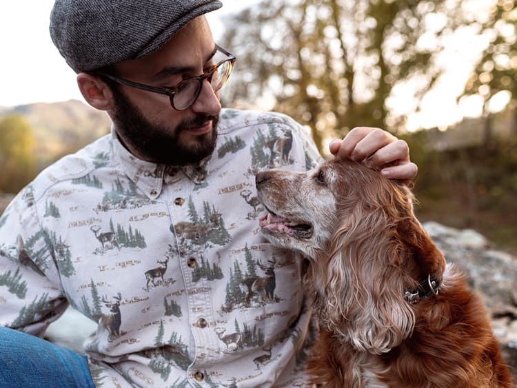 Foster Parenting 101: How to Be the Best Caregiver to Your Guest Pets