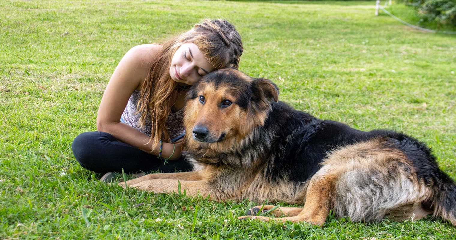 A Guide to Adopting a Dog With Heartworms