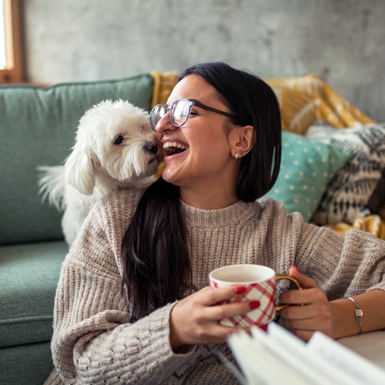 Best Hypoallergenic Dog Breeds