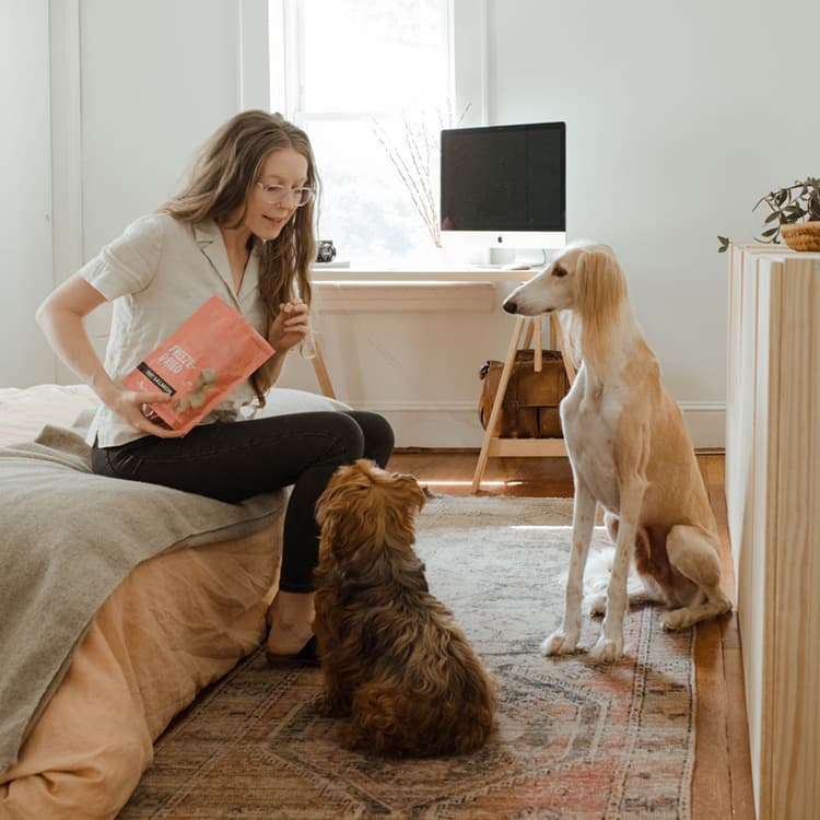 Do Dogs Share Food?