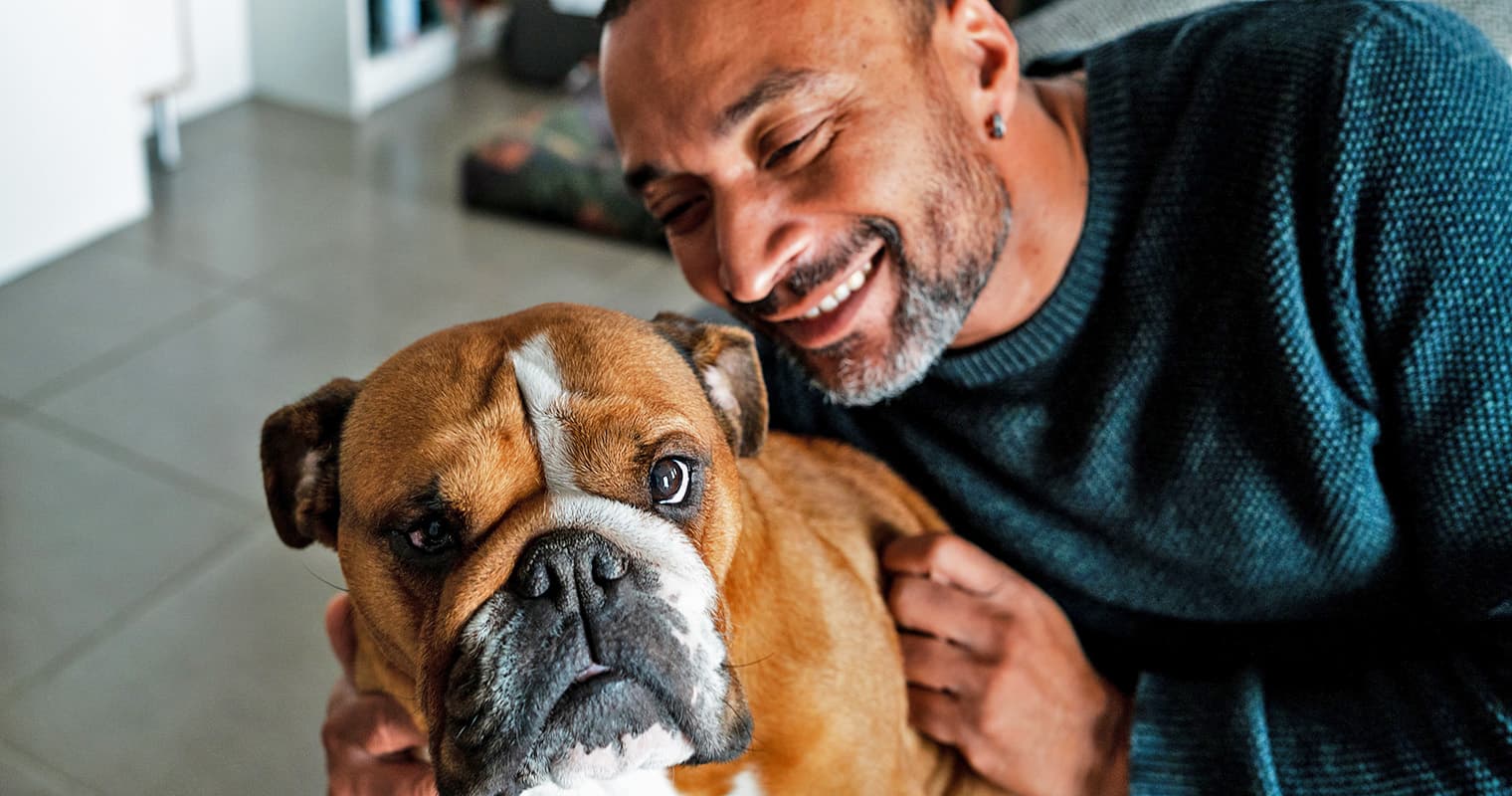 How Do I Give Up My American Bulldog?