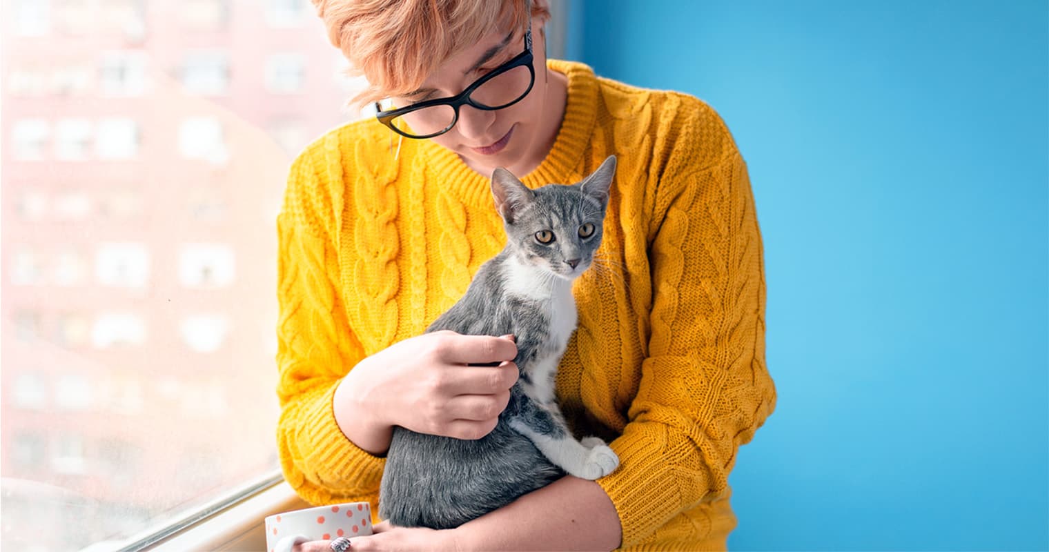 12 Gray and White Cat Breeds Who Make Great Pets