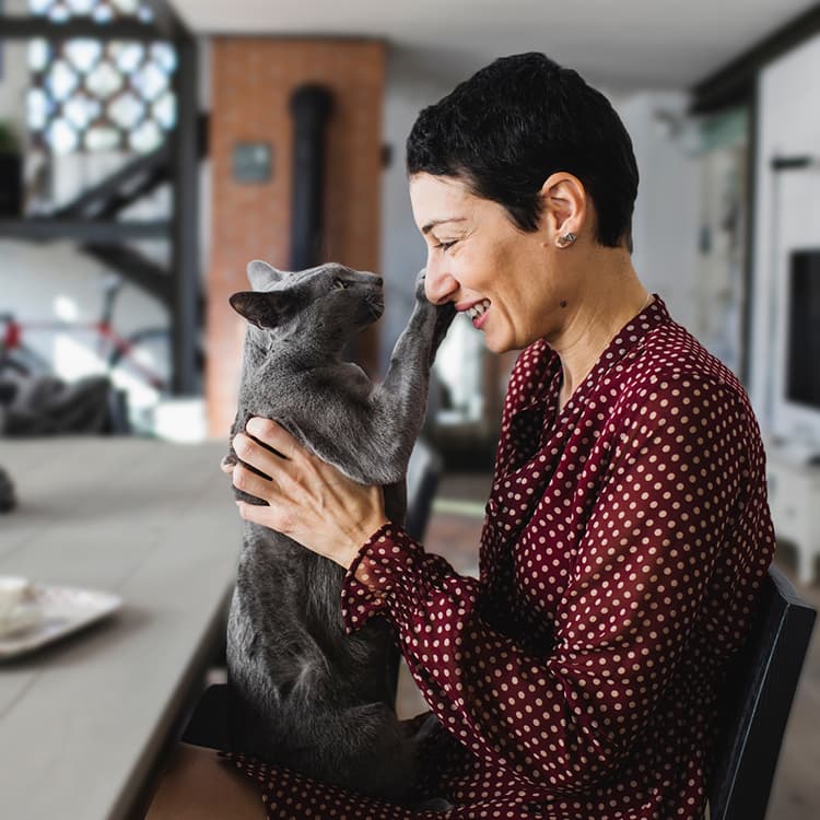 Does Your Cat’s Fur Pattern Determine Their Personality?