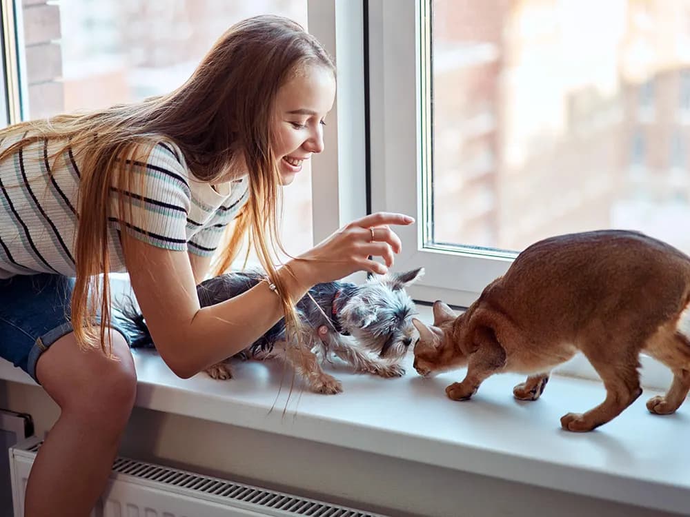 woman looking for cat and dog