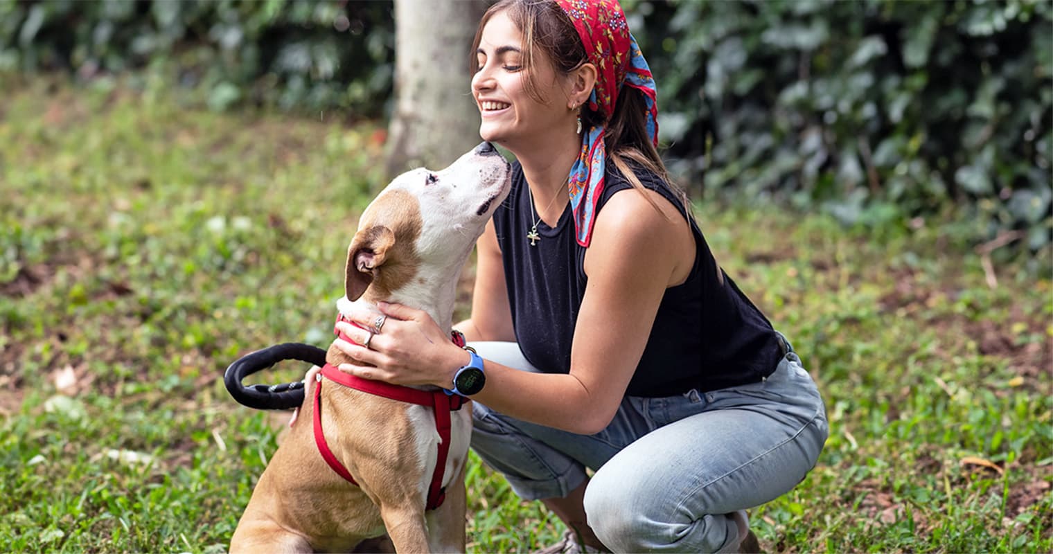 Doggy Day Out: How a Day Out Helps Dogs in Shelters
