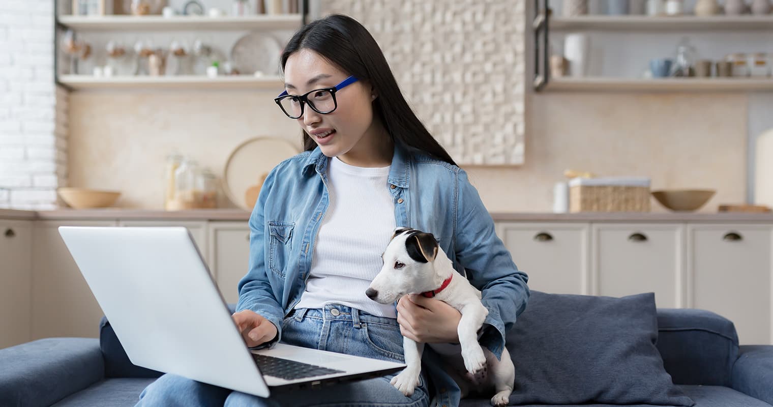 What Does It Mean to Surrender a Jack Russell Terrier?