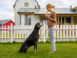 Are Friends and Family Derailing Your Dog’s Training?