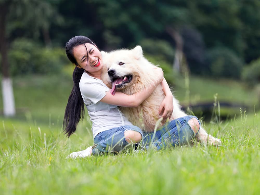 Why Your Dog Should Be Your Go-To Stress Buster