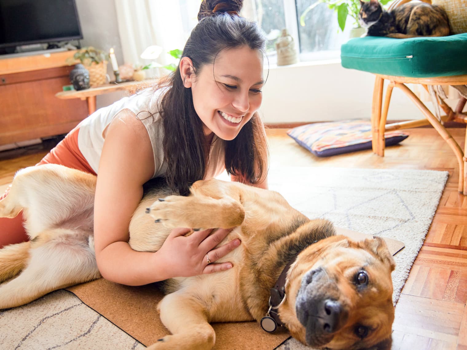 You Should Absolutely Adopt a Pet. Here’s Why.