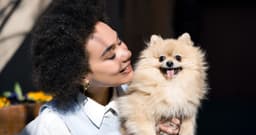 Thinking About a Toy Dog? Meet 15 Small Lapdog Breeds