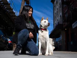 How Korean K9 Gives Dogs Rescued From the Meat Trade a Second Shot at Life