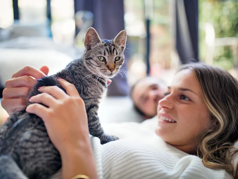 cat and person