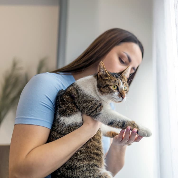 Is Cat Paw Reading Real? The Internet Thinks Your Kitty's “Toe Beans” Can Reveal Their Personality