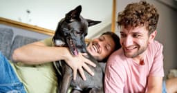 An Apartment Renter’s Guide to Dog Adoption