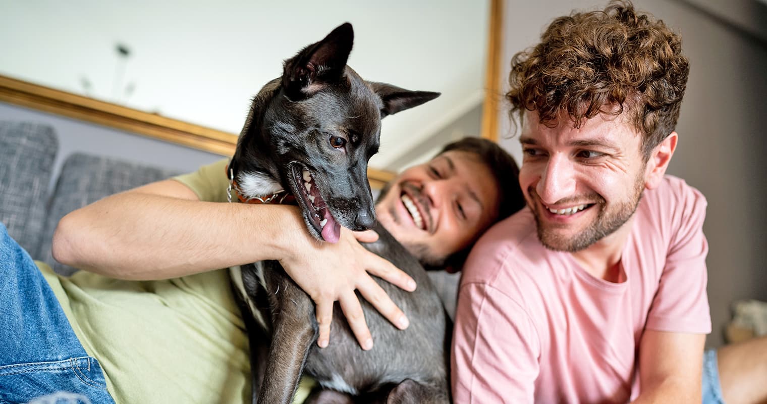 An Apartment Renter’s Guide to Dog Adoption