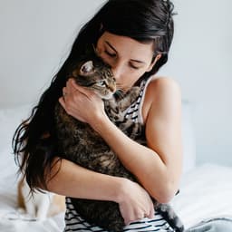10 Signs Your Cat Has Imprinted on You