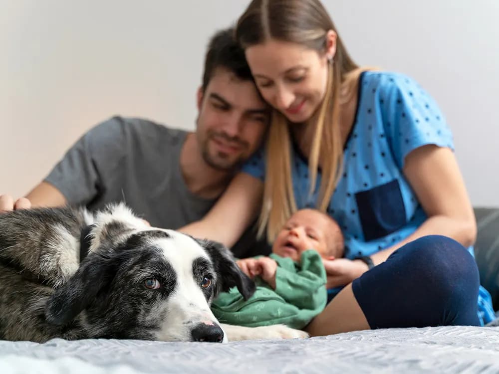 family with newborn baby and dog nearby