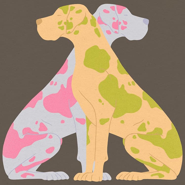 Ever Ask Your Dog “Why Are You Like This?” DNA Is the Answer — Kind Of