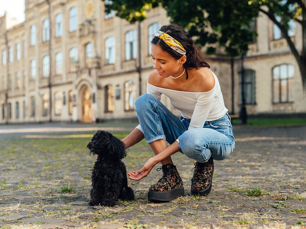 How to Teach Your Dog Your Name
