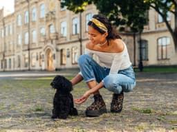 How to Teach Your Dog Your Name