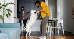 How to Stop Your Dog From Jumping on People