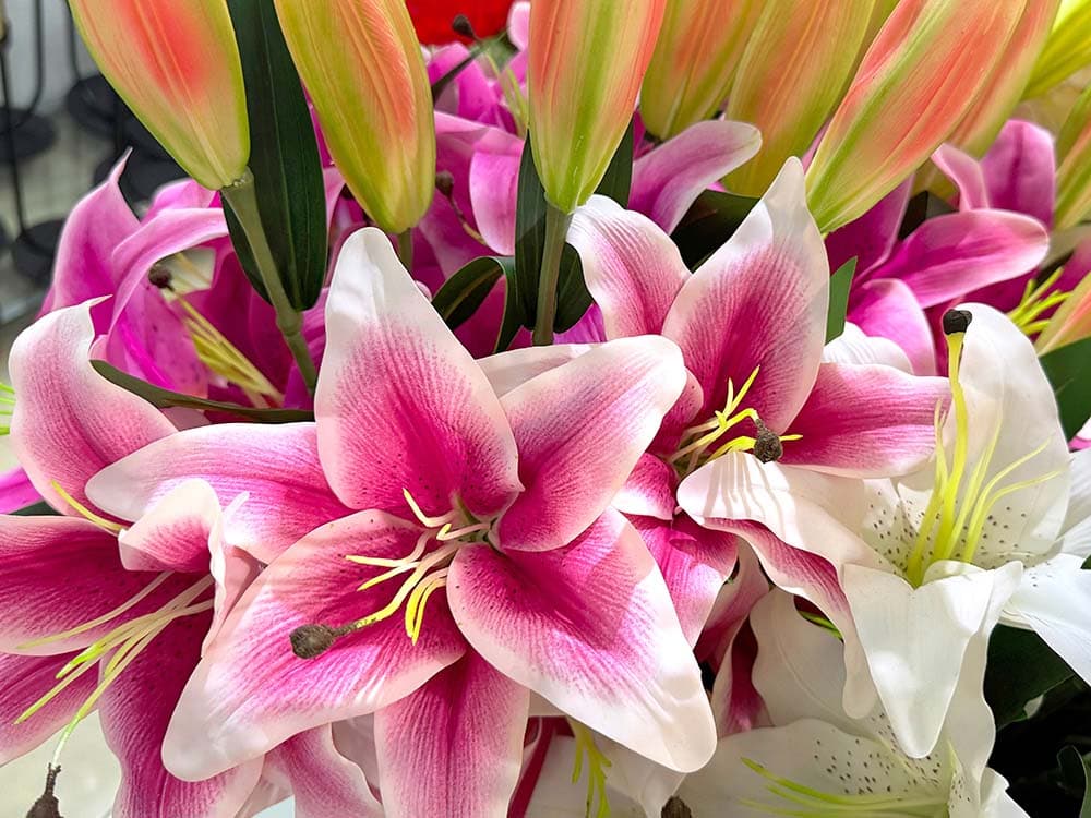 True Lillies