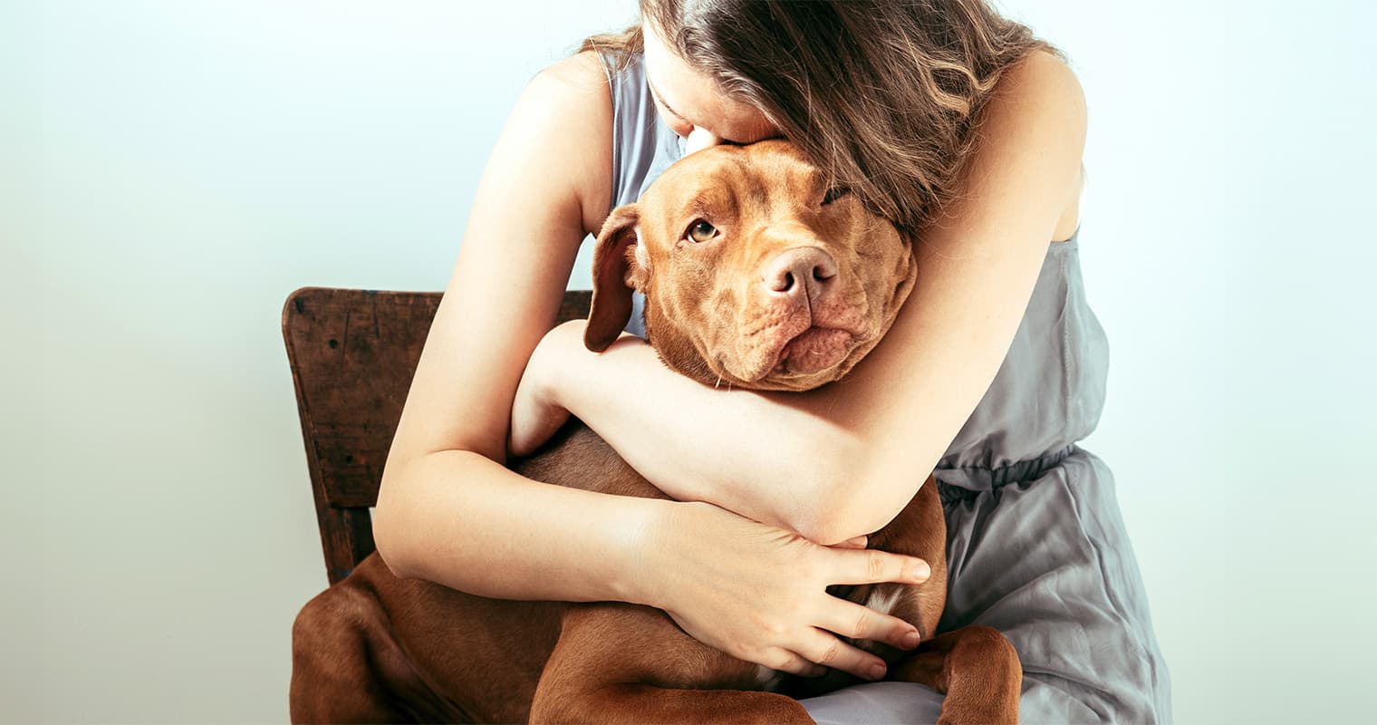 Can a Landlord Make You Get Rid Of Your Dog?
