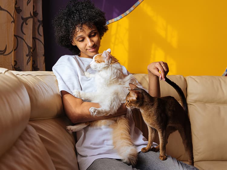 Should I Adopt a Bonded Pair?
