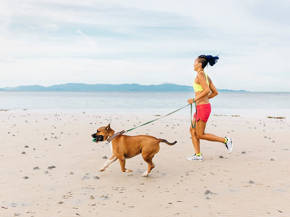 Dogs Make Great Exercise Partners