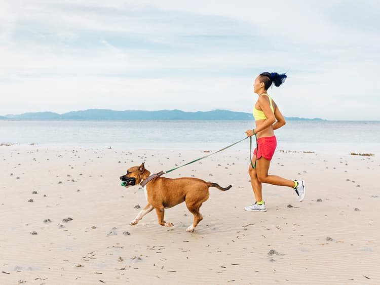 Dogs Make Great Exercise Partners