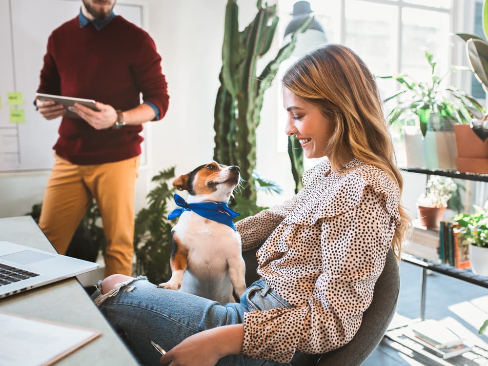 8 Reasons to Take Your Dog to Work