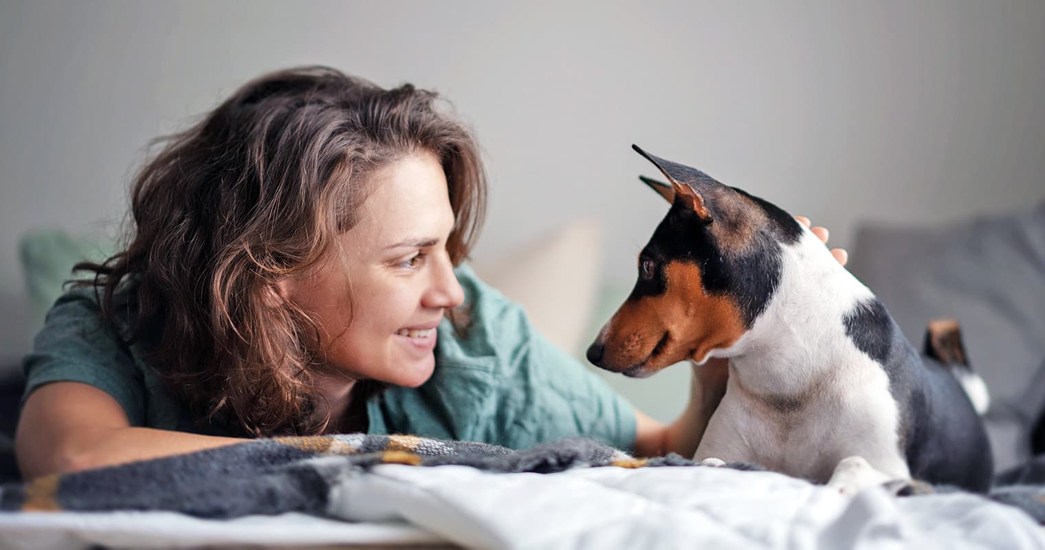 Does My Dog Love Me?