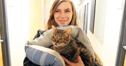 How Incarcerated Women Are Helping Thousands of Cats Recover and Get Adopted