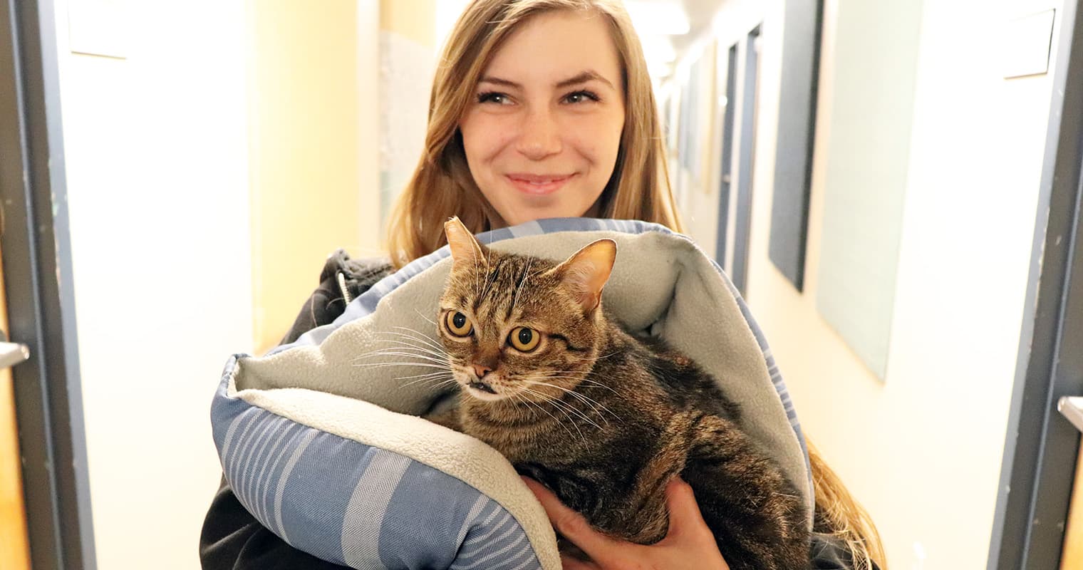 How Incarcerated Women Are Helping Thousands of Cats Recover and Get Adopted