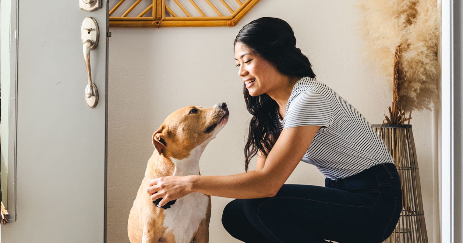 So You’re Bringing Home a Rescue Dog—Here’s What to Do
