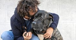 35 Questions You Should Ask Before Fostering a Dog