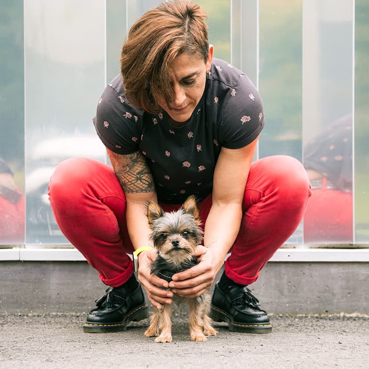 All the Hidden Dangers of Having a Tiny Dog