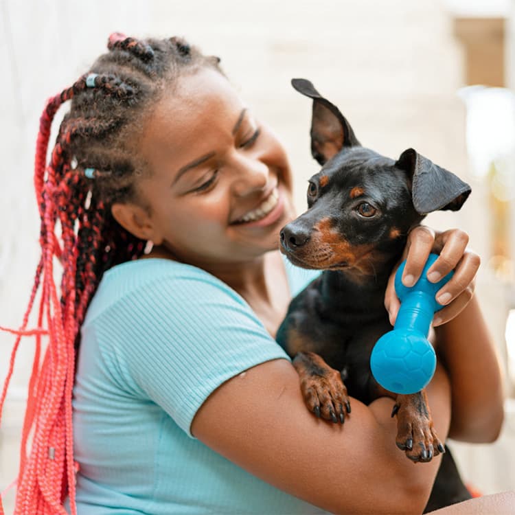 Dogs Can Remember Names of Toys 2 Years After Seeing Them, New Study Finds