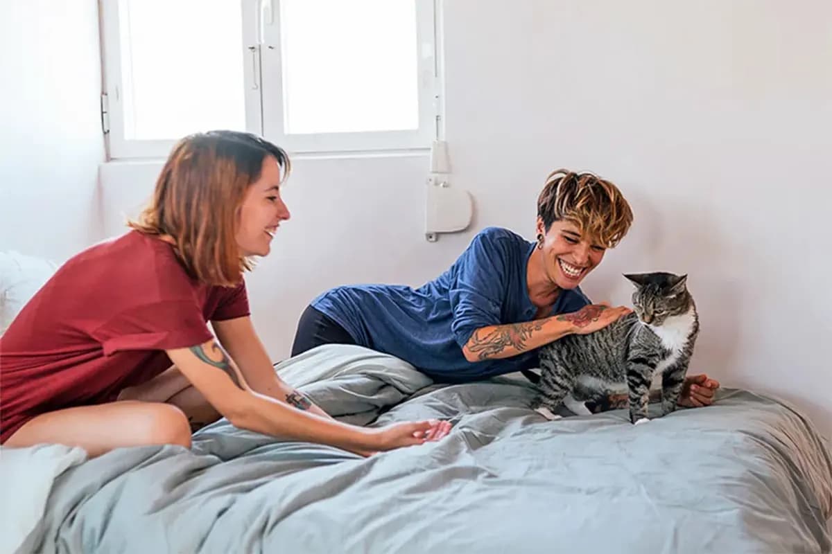 two friends look at cat sitting on bed