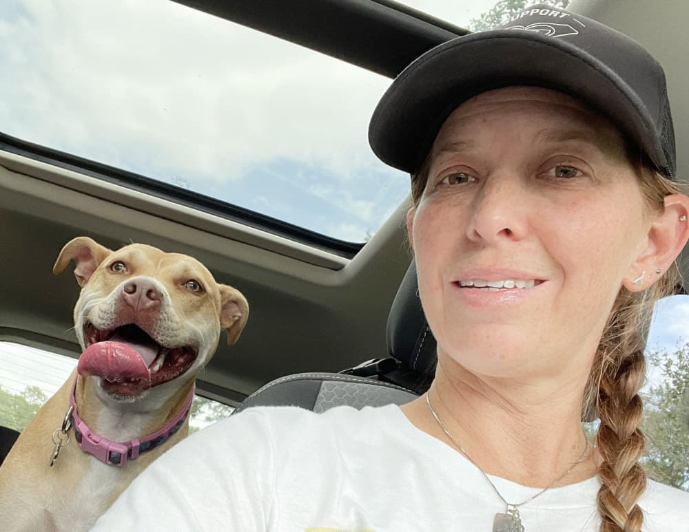 Dog and person in car
