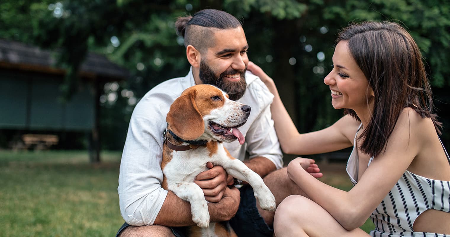Six Reasons Why Beagles Make Surprisingly Great Family Dogs