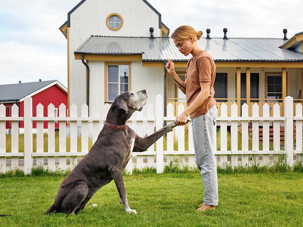 7 Dog-Training Myths—Busted by a Behaviorist