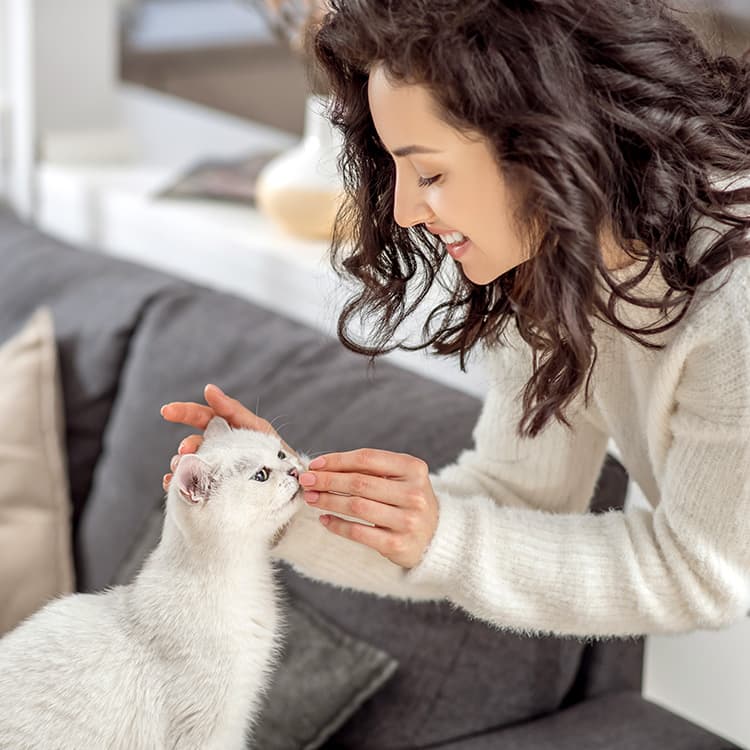 Does My Cat Need Supplements?