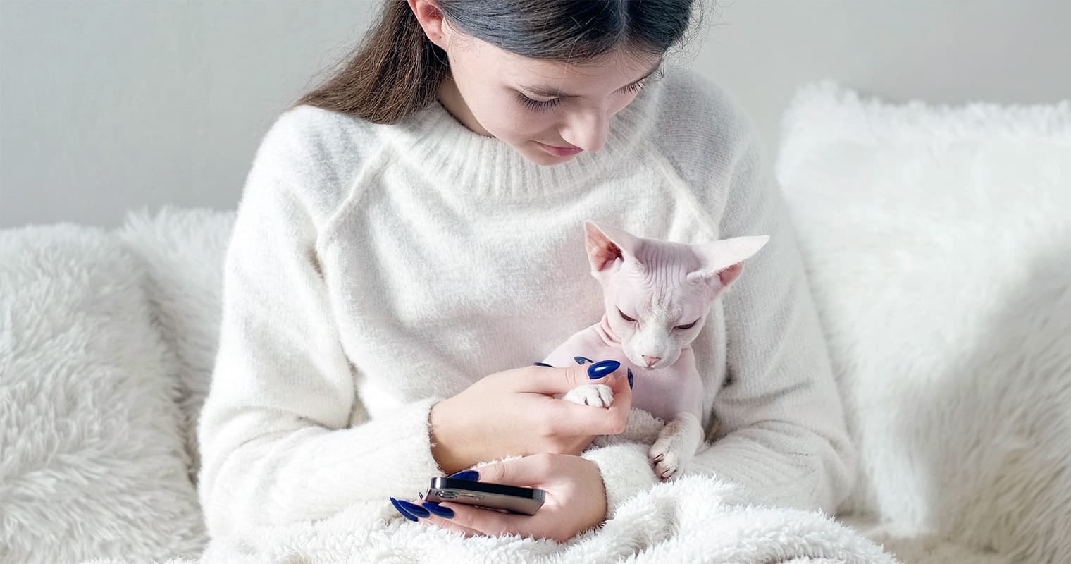150+ Names for Your New Sphynx Cat