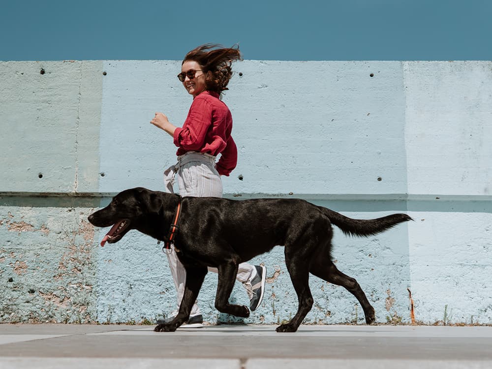 5 Running Games to Play With Your Dog