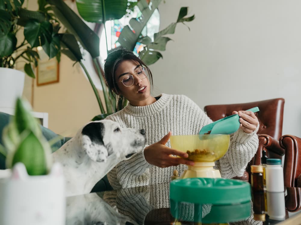 How Many Calories To Feed Your Dog — And a Dog Calorie Counter