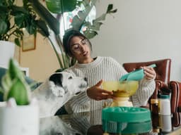 How Many Calories To Feed Your Dog — And a Dog Calorie Counter