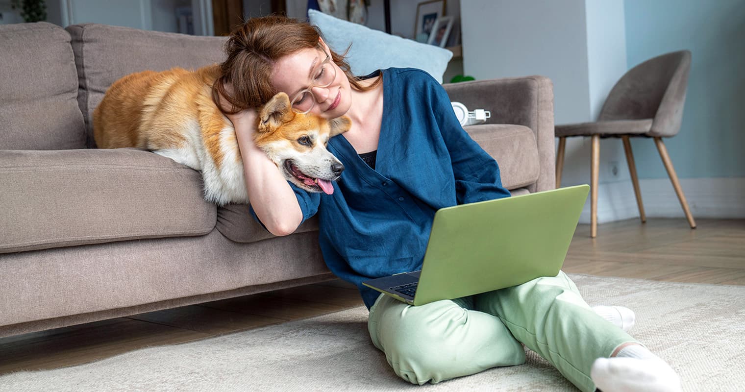 How Can I Find a Home for My Corgi?