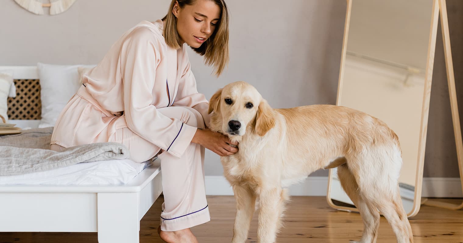 How Long Does It Take a Golden Retriever to Get Used to a New Home?